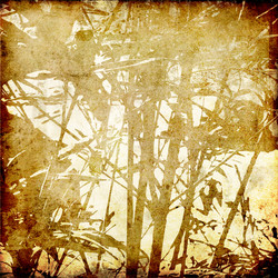 Similar image 7895442