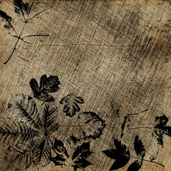 Similar image 7895452