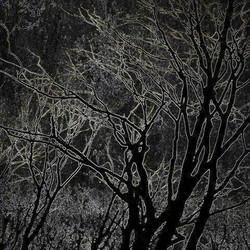 Similar image 7895458