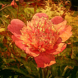 Similar image 7895471