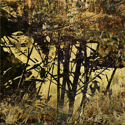 Similar image 7895473