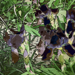 Similar image 7895511