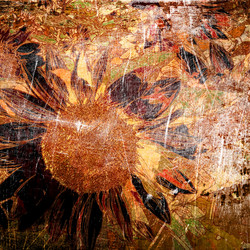 Similar image 7895521