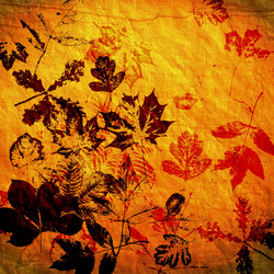 Similar image 7895539