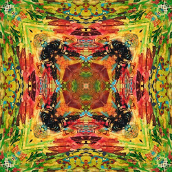 Similar image 7895549