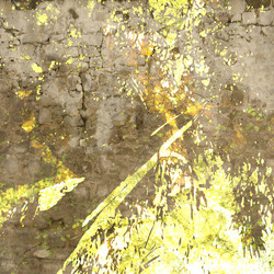 Similar image 7895578