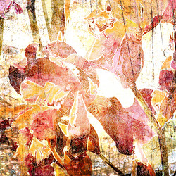 Similar image 7895584