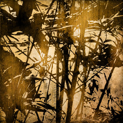 Similar image 7895598