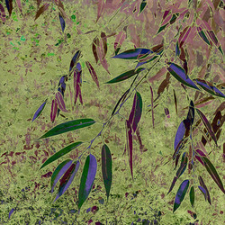 Similar image 7895653