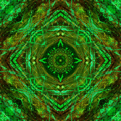 Similar image 7895663