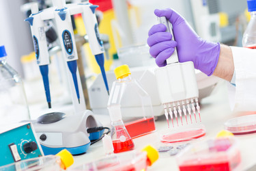 Similar image 7895722