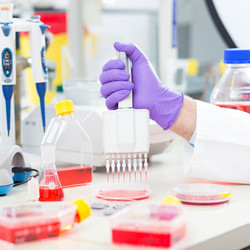 Similar image 7895734