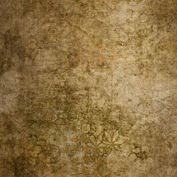 Similar image 7895851