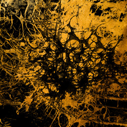 Similar image 7895868