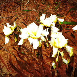 Similar image 7895912