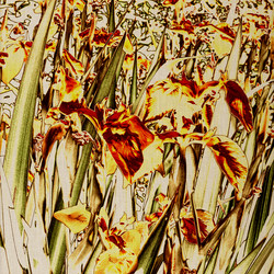 Similar image 7895916