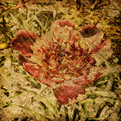 Similar image 7895919