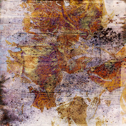 Similar image 7895920