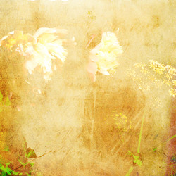 Similar image 7895936