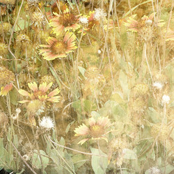 Similar image 7895952