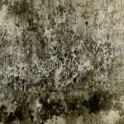 Similar image 7895969