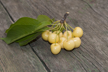 Similar image 7895998