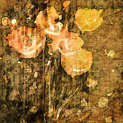 Similar image 7896018