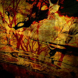 Similar image 7896021