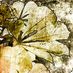 Similar image 7896461