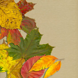 Similar image 7896463