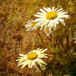 Similar image 7896490