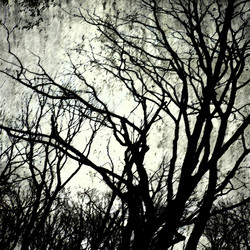 Similar image 7896548