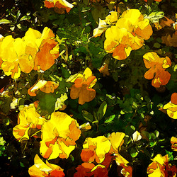 Similar image 7896572