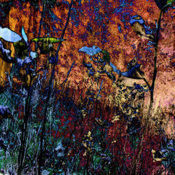 Similar image 7896576