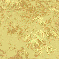 Similar image 7896581