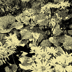 Similar image 7896689