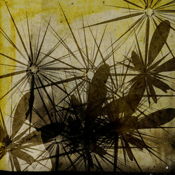 Similar image 7896731