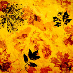 Similar image 7896748