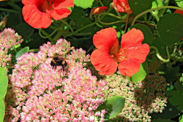 Similar image 7896958