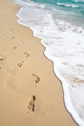 Similar image 7896959