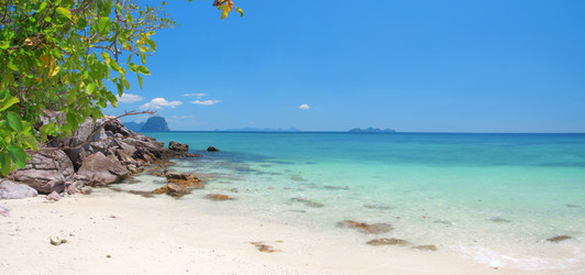 Similar image 7897001