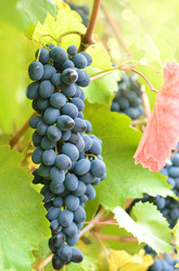 Similar image 7897004