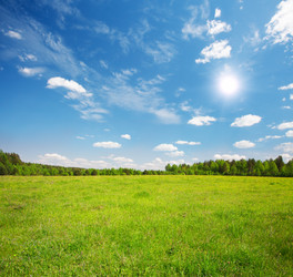 Similar image 7897041