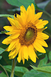 Similar image 7897052