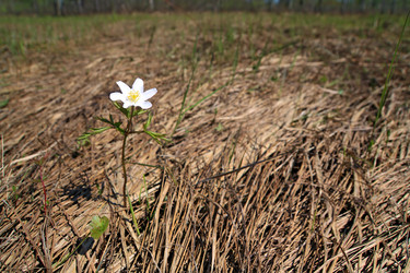 Similar image 7897054