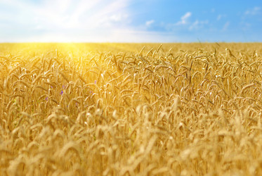 Similar image 7897060