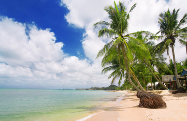 Similar image 7897066