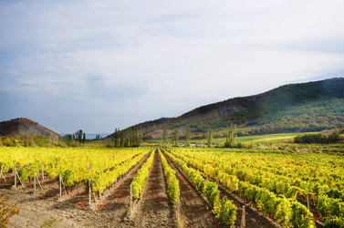 Similar image 7897173