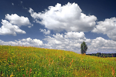 Similar image 7897186