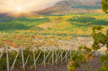 Similar image 7897210